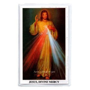 Divine Mercy - 3 OClock Prayer Laminated Stampita