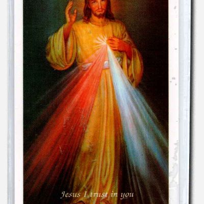 Divine Mercy - 3 OClock Prayer Laminated Stampita