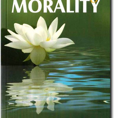 Understanding Morality
